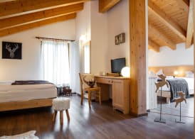 Hotel Chalet Giasenei 4