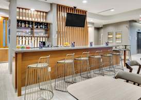 SpringHill Suites by Marriott Dallas Mansfield 3