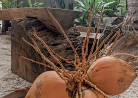 Dhoadhi Retreat 4