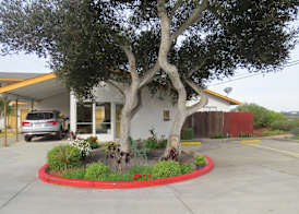 Laguna Lodge 2