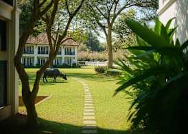 The Grand Luang Prabang Affiliated by Meliá 4