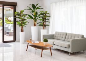 Hotel Don Manolito 4