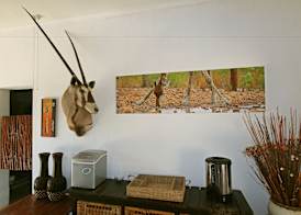 Normann Safari Bush Lodge 4