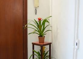 B&B Tecla 2