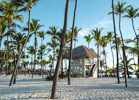 Catalonia Bavaro Beach Resort 3