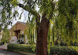 Residence La Meridiana 5