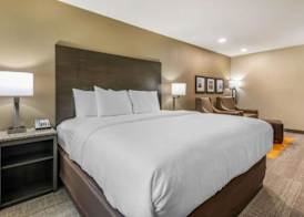 Coral Pointe Sarasota, an Ascend Collection Hotel 3