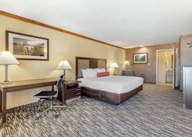 Best Western Windwood Inn & Suites 5