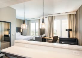 Residence Inn by Marriott Houston Medical Center/NRG Park 5