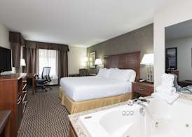 Holiday Inn Express HOLLAND by IHG 2
