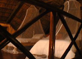 Lion Tree Bush Lodge 3