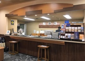 Pearl Hotel Ryogoku 4