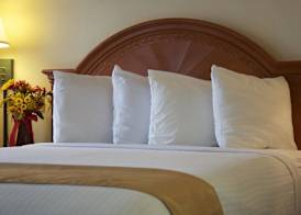 Barcelona Suites 4