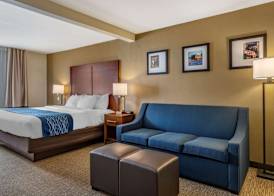 Comfort Inn & Suites Texas Hill Country 4