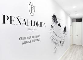Pensión Peñaflorida 4