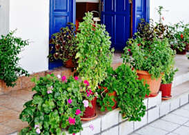 Daskalogiannis Hotel 3