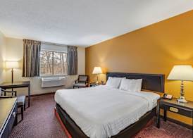 Econo Lodge Whitehall near Michigan's Adventure 5