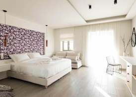 Anemolia Parga Suites 3