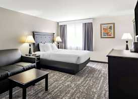 Best Western Saluki Inn 5