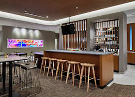 SpringHill Suites by Marriott Charlotte at Carowinds 3