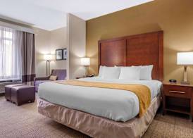 Comfort Suites Boone - University Area 5