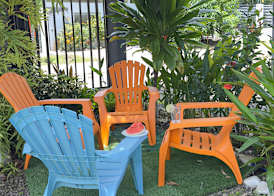 Rooms & Pool Macaws 5