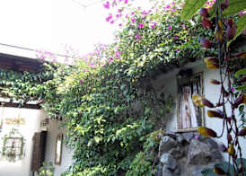 Tropicana La Catedral 4