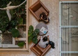Coco-mat Athens BC 4