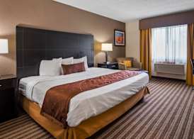 Best Western Plus Newark/Christiana Inn 4