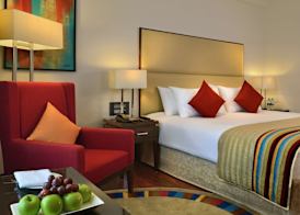 Park Plaza Chandigarh Zirakpur 5