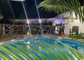 Great Palm View - Apartment 3 in Villa Coconut 4