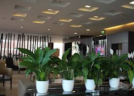 Best Western Hotel Goldenmile Milan 3