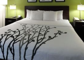 Sleep Inn & Suites Near Columbus - State University Area 2