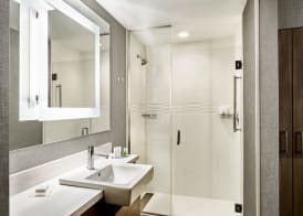 SpringHill Suites by Marriott Albuquerque North/Journal Center 4