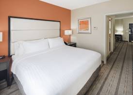 Holiday Inn Express & Suites ATLANTA NE - DULUTH by IHG 4
