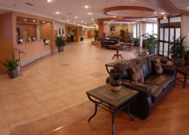 Wyndham Garden Hotel Austin 4