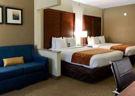 Vista Suites Near Island and Leconte Convention Center 2