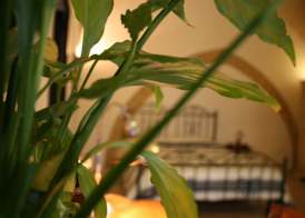 Antiche Volte B&B 3