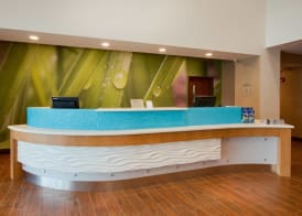 SpringHill Suites by Marriott Orlando Lake Buena Vista South 2