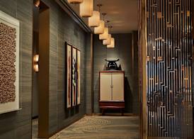 Viceroy Chicago 2