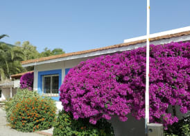 Residence Il Cicero 2