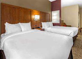Comfort Suites Clayton - Garner 4