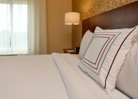 Fairfield Inn & Suites by Marriott Greenville 4