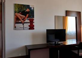Hotel Concordia 5