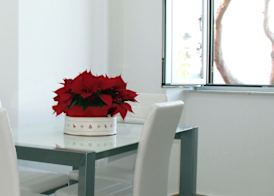 Le Mirage boutique II 5