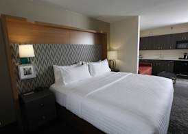 Holiday Inn & Suites CHICAGO NORTH SHORE (SKOKIE) by IHG 4