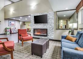 Comfort Inn & Suites Love Field-Dallas Market Center 4