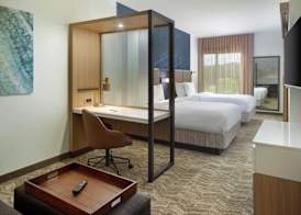 SpringHill Suites by Marriott Ellijay 5