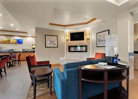 Comfort Inn & Suites Fenton 2