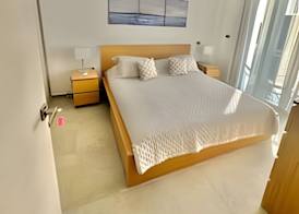 Estrella Dominicus Advantage 4
